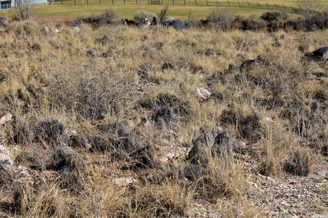 480 W 350 N, Bicknell, UT 84715 — photo 5