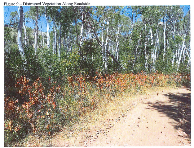 #24-5, Hyrum, UT 84319 — photo 8