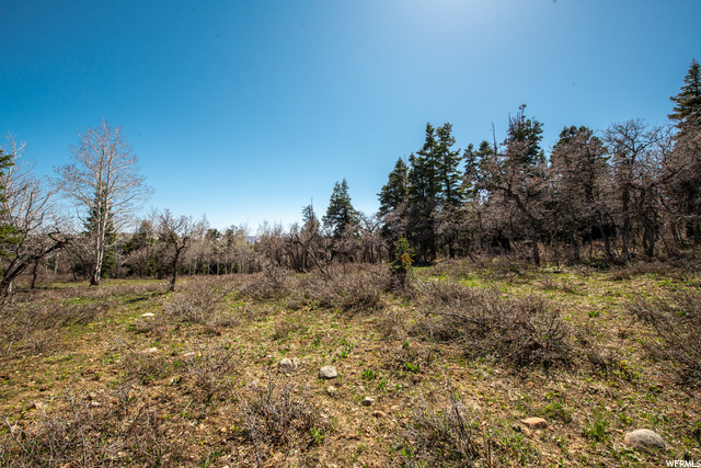1172 W Maple Pl, Wanship, UT 84017 — photo 4