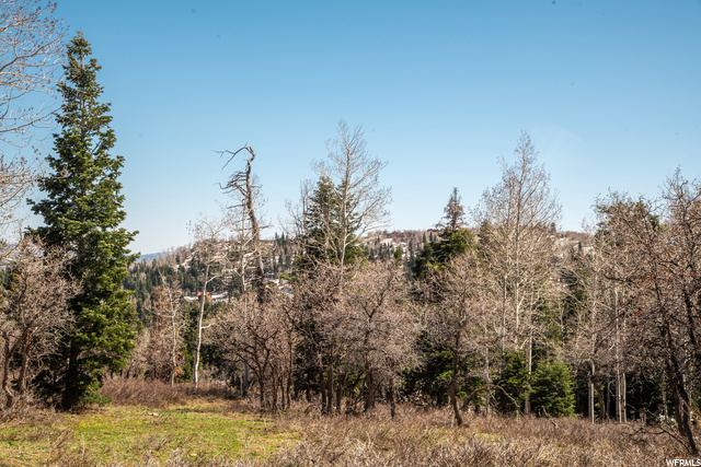 1172 W Maple Pl, Wanship, UT 84017 — photo 7