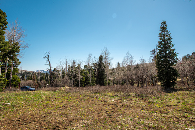 1172 W Maple Pl, Wanship, UT 84017 — photo 3