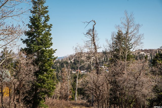 1172 W Maple Pl, Wanship, UT 84017 — photo 6