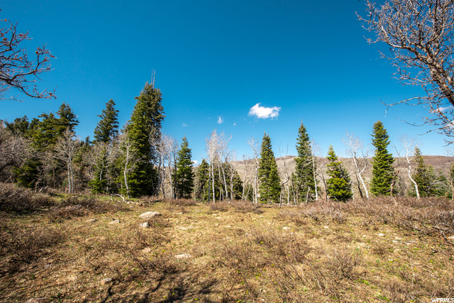 1172 W Maple Pl, Wanship, UT 84017 — photo 2