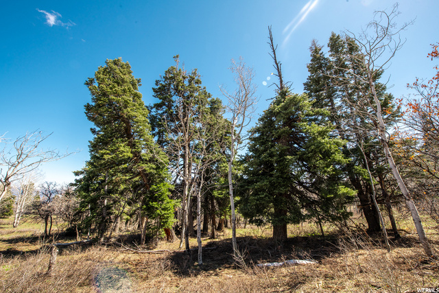 1172 W Maple Pl, Wanship, UT 84017 — photo 10