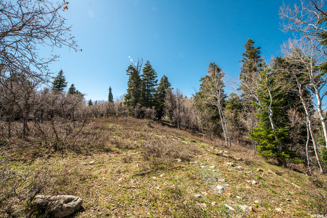 1172 W Maple Pl, Wanship, UT 84017 — photo 5