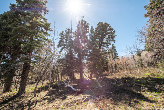 1172 W Maple Pl, Wanship, UT 84017 — photo 8