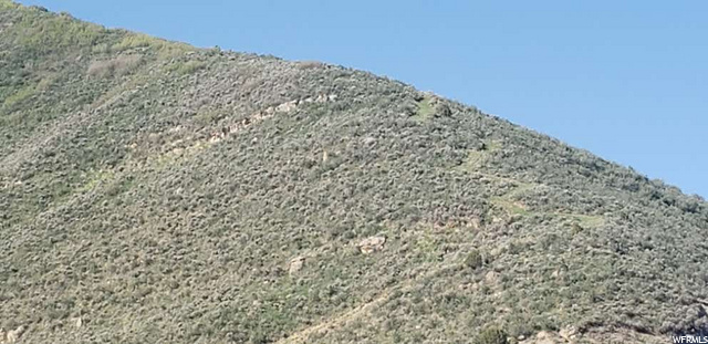 206 Echo Creek #206, Echo, UT 84024 — photo 7