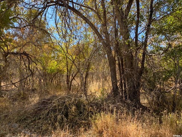 1695 W 4100 N, Spring Glen, UT 84526 — photo 3