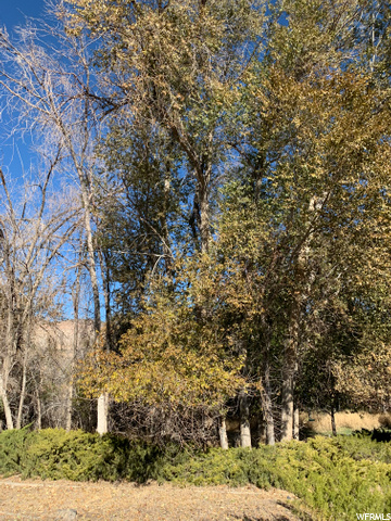 1695 W 4100 N, Spring Glen, UT 84526 — photo 4