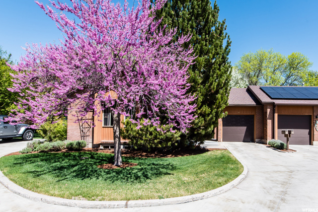 40 Heritage Cv, Logan, UT 84321 — photo 5