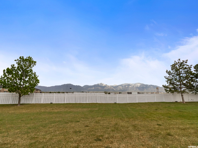 Back Lawn Area