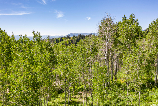 1975 W Willow Cir #13, Wanship, UT 84017 — photo 4