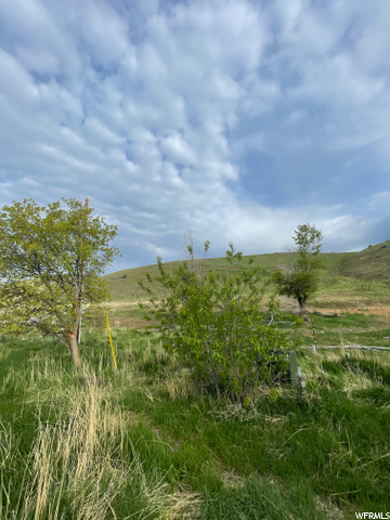 1251 E 8500 S, Paradise, UT 84328 — photo 3