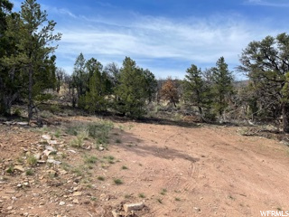 #12, Fruitland, UT 84027 — photo 4