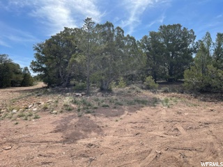 #12, Fruitland, UT 84027 — photo 3