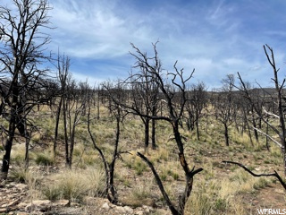 #12, Fruitland, UT 84027 — photo 6
