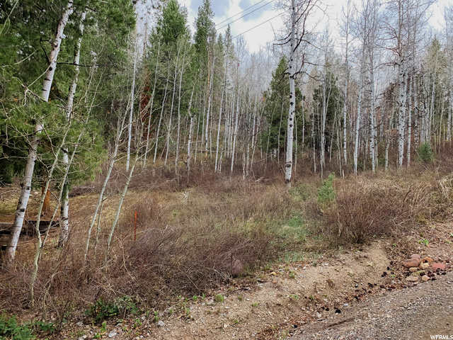 81 River Vu Rd #81, Kamas, UT 84036 — photo 4