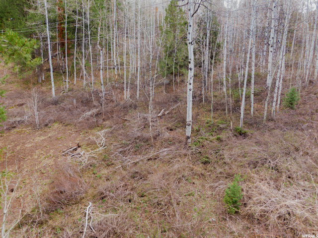 81 River Vu Rd #81, Kamas, UT 84036 — photo 7