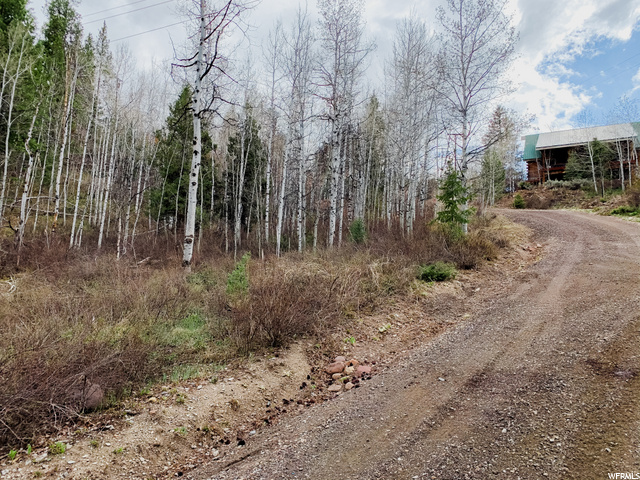 81 River Vu Rd #81, Kamas, UT 84036 — photo 5