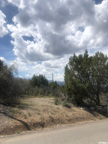 12530 E Juniper Dr N, Fairview, UT 84629 — photo 5