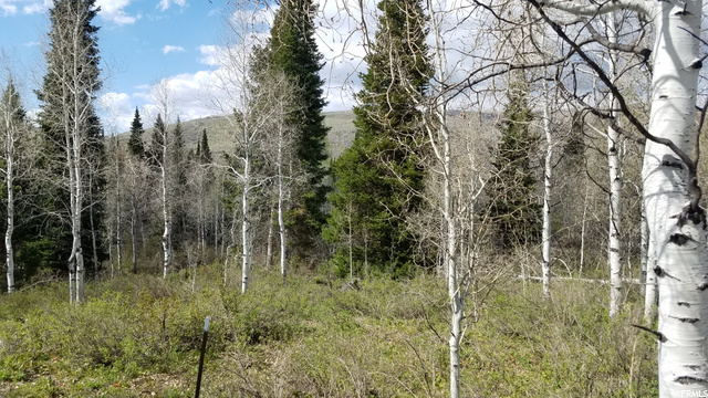 329 E Targhee Dr #329, Oakley, UT 84055 — photo 4