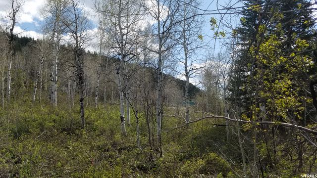 329 E Targhee Dr #329, Oakley, UT 84055 — photo 10
