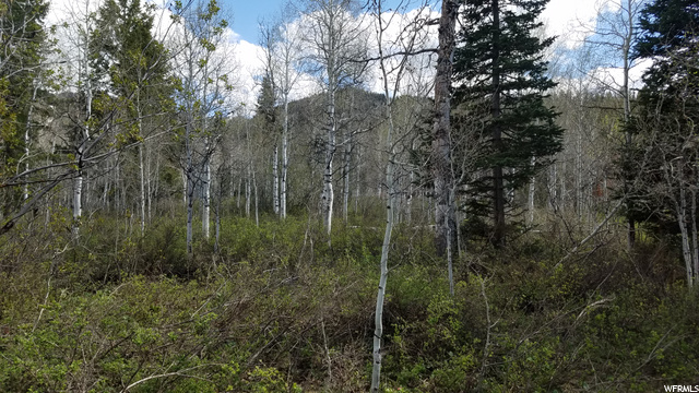 329 E Targhee Dr #329, Oakley, UT 84055 — photo 8