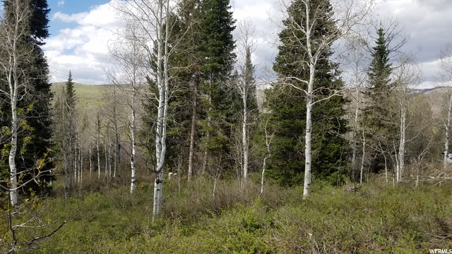 329 E Targhee Dr #329, Oakley, UT 84055 — photo 5