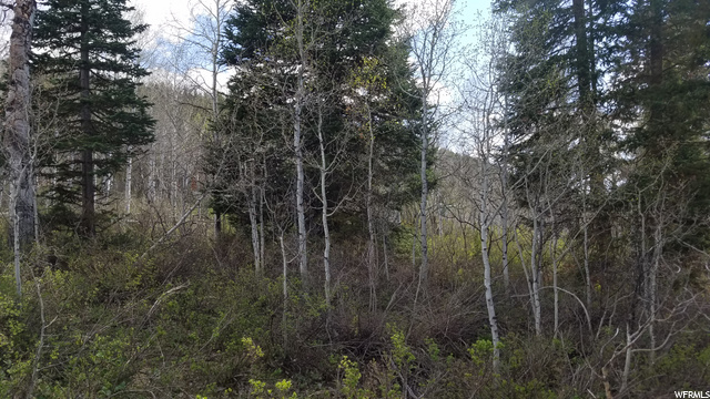 329 E Targhee Dr #329, Oakley, UT 84055 — photo 9