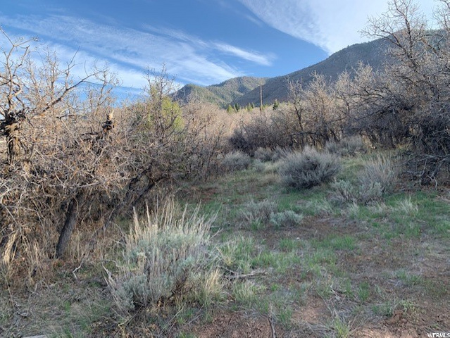 #72, Fountain Green, UT 84632 — photo 5