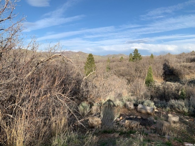 #72, Fountain Green, UT 84632 — photo 3