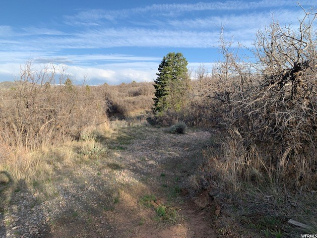 #72, Fountain Green, UT 84632 — photo 6
