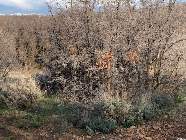 #72, Fountain Green, UT 84632 — photo 8