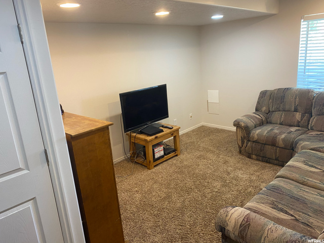 Basement Family Room