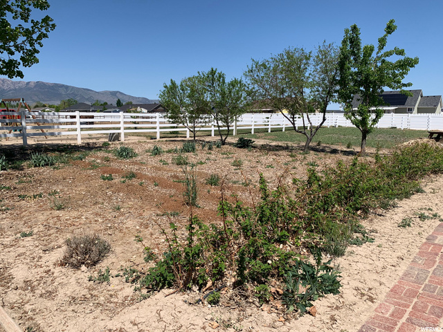 Garden Area