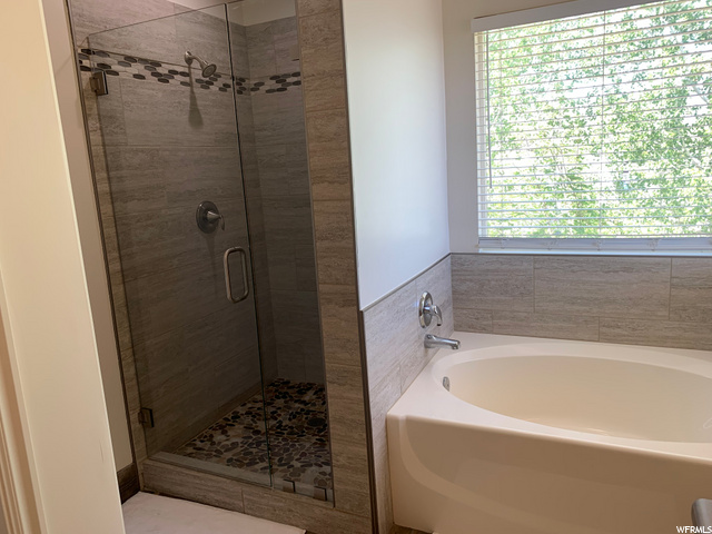 Master Shower and tub