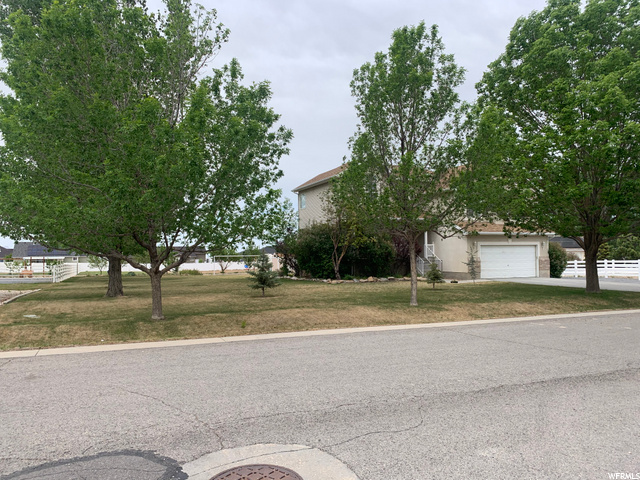 Large side yard