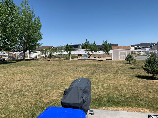 Back yard