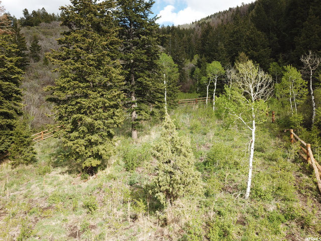 2480 E Weber Wild Rd #5, Oakley, UT 84055 — photo 7