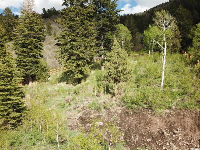 2480 E Weber Wild Rd #5, Oakley, UT 84055 — photo 8