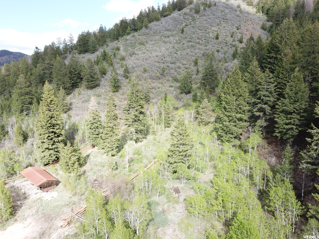 2480 E Weber Wild Rd #5, Oakley, UT 84055 — photo 5
