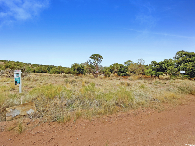 #9, Talmage, UT 84073 — photo 11