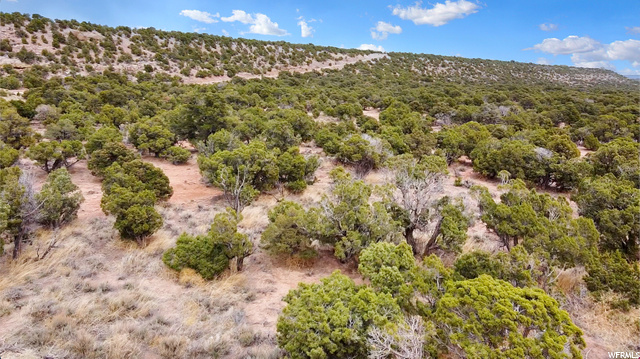 #9, Talmage, UT 84073 — photo 3
