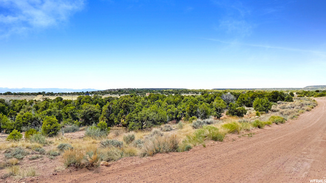 #9, Talmage, UT 84073 — photo 5