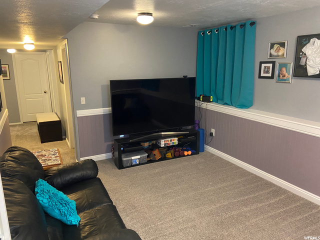 Family Room in basement