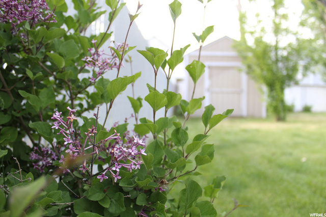 642 W Kit Carson Cir N, Centerville, UT 84014 — photo 9