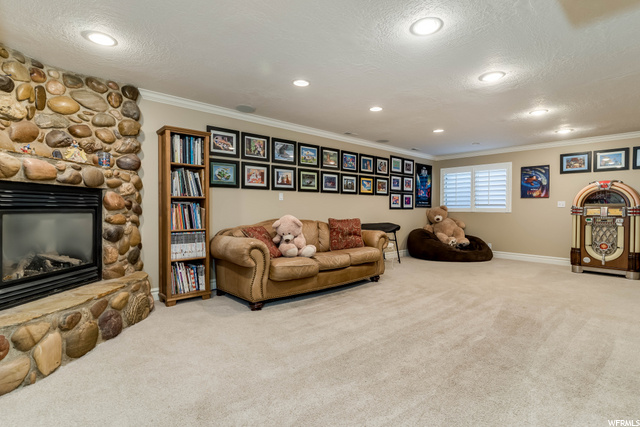 Basement Family Room
