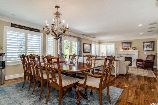 Open concept Kitchen & Family Room