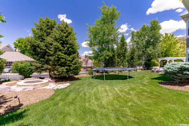 Back yard