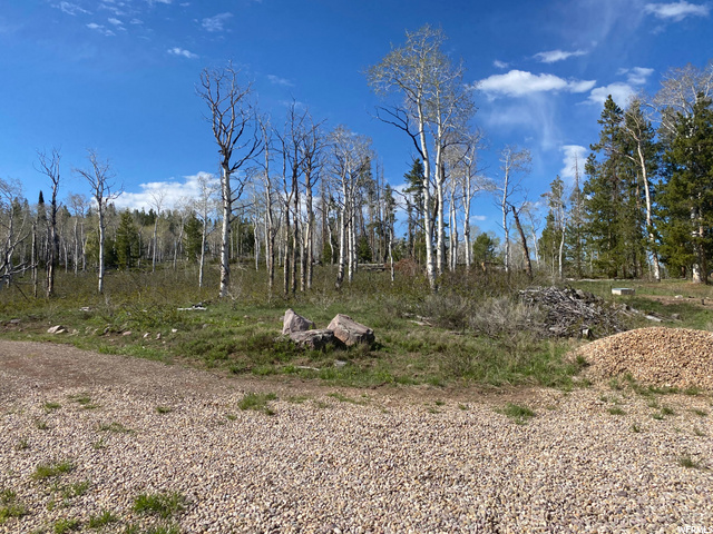 4782 Alpine Rd #1508, Kamas, UT 84036 — photo 7